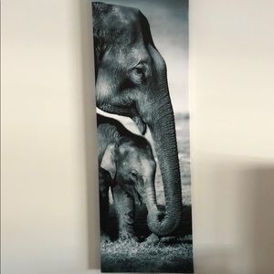 Elephant canvas photo